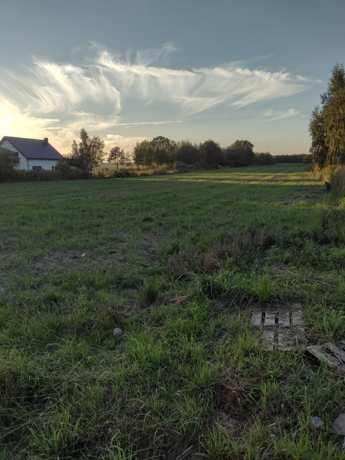 Sprzedam działkę w Justynowie - Widok 4