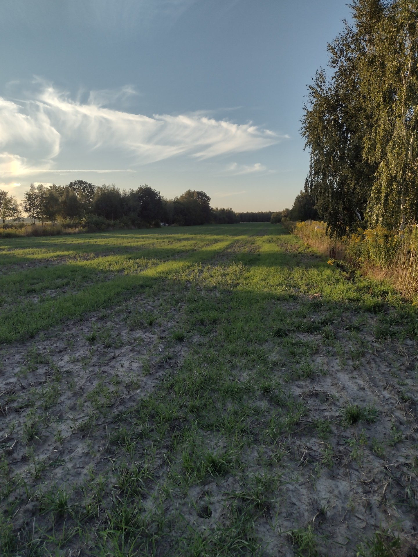 Sprzedam działkę w Justynowie - Widok 6