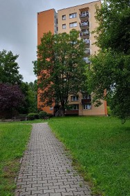 Sprzedam mieszkanie 3 pokoje, 47m2 - 5 km od Spodka - doskonała lokalizacja-2