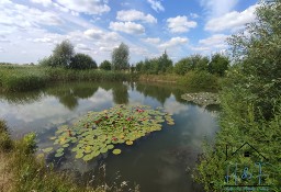 Dom Czestków A