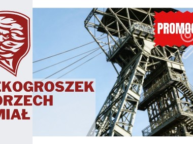 Polski Węgiel Ekogroszek/orzech Wesoła-Mysłowice promocja, klasa 28-1