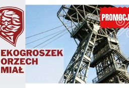 Polski Węgiel Ekogroszek/orzech Wesoła-Mysłowice promocja, klasa 28