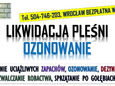 Ozonowanie Wrocław, cennik, tel  Usuwanie wirusów grzybów, pleśni, grzyb, cennik-1