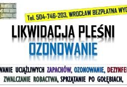 Ozonowanie Wrocław, cennik, tel  Usuwanie wirusów grzybów, pleśni, grzyb, cennik