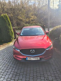 Pierwszy właściciel z salonu polskiego