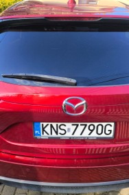 Pierwszy właściciel z salonu polskiego-2