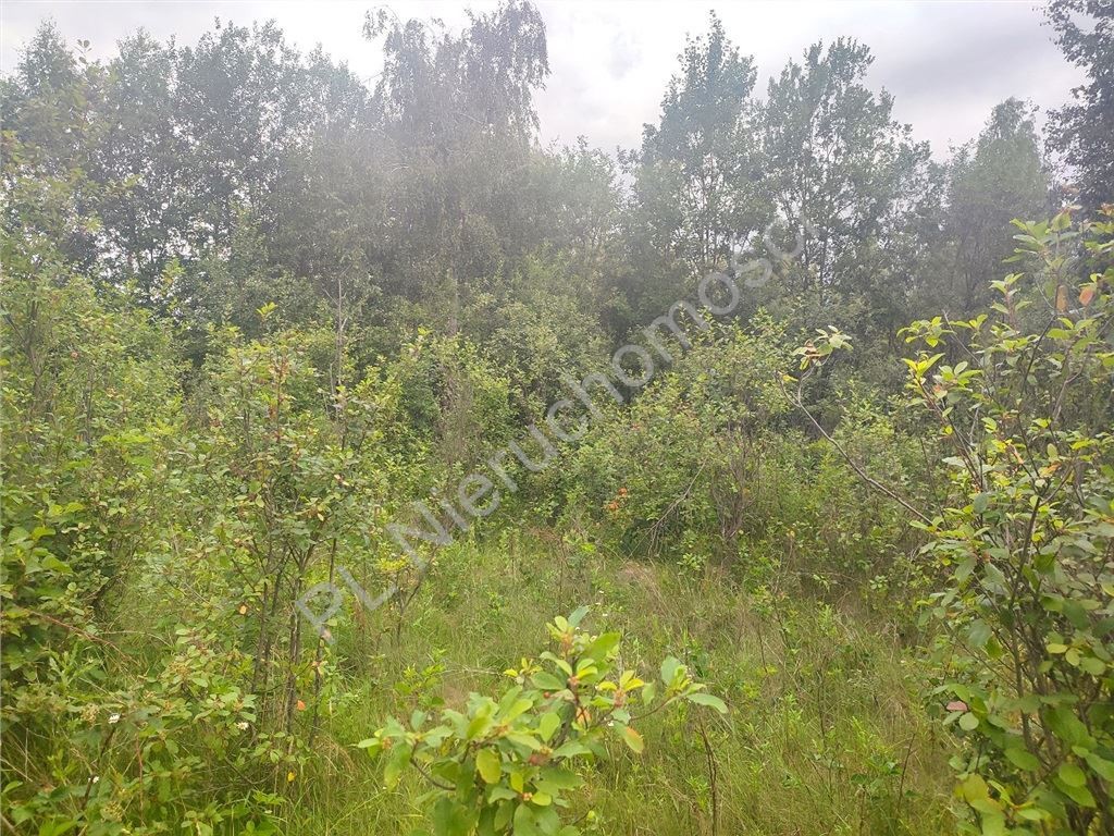 Sielankowa okolica, duża działka z wz - Widok 2