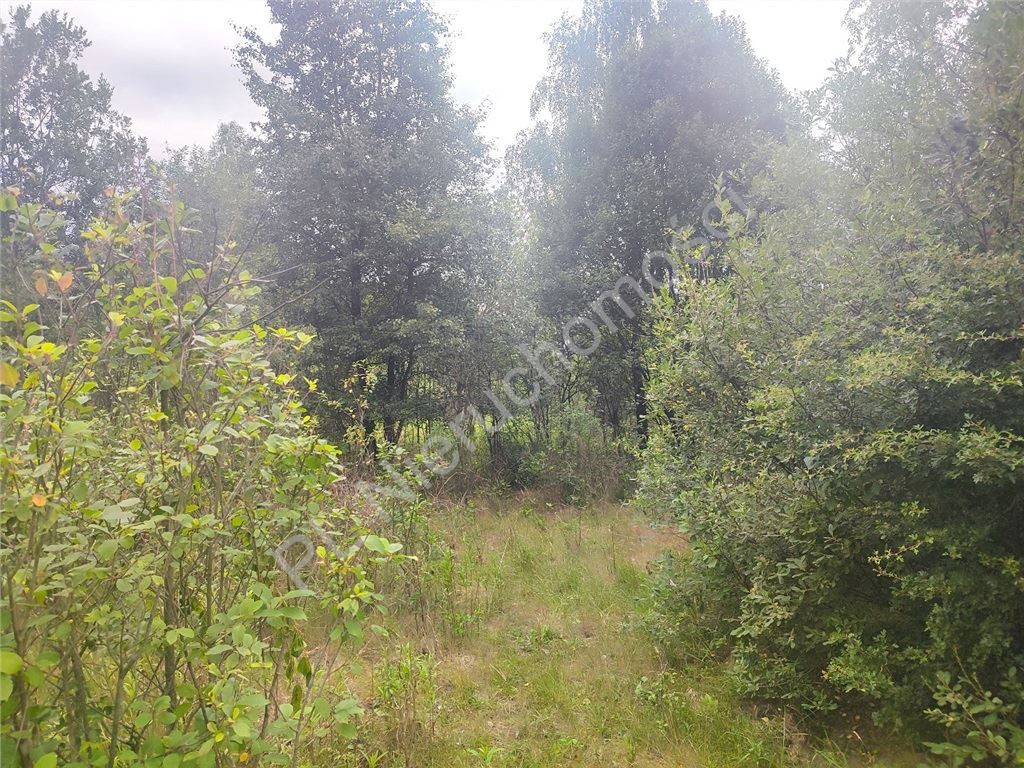 Sielankowa okolica, duża działka z wz - Widok 4