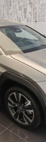 Lexus UX 300h Business 2.0 Hybrid Dynamic Force UX 300h Business 2.0 Hybrid Dynamic-3