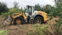 Liebherr L544 [2plus2] - Zwolnica | Most Napędowy | Silnik - [CZĘŚCI]