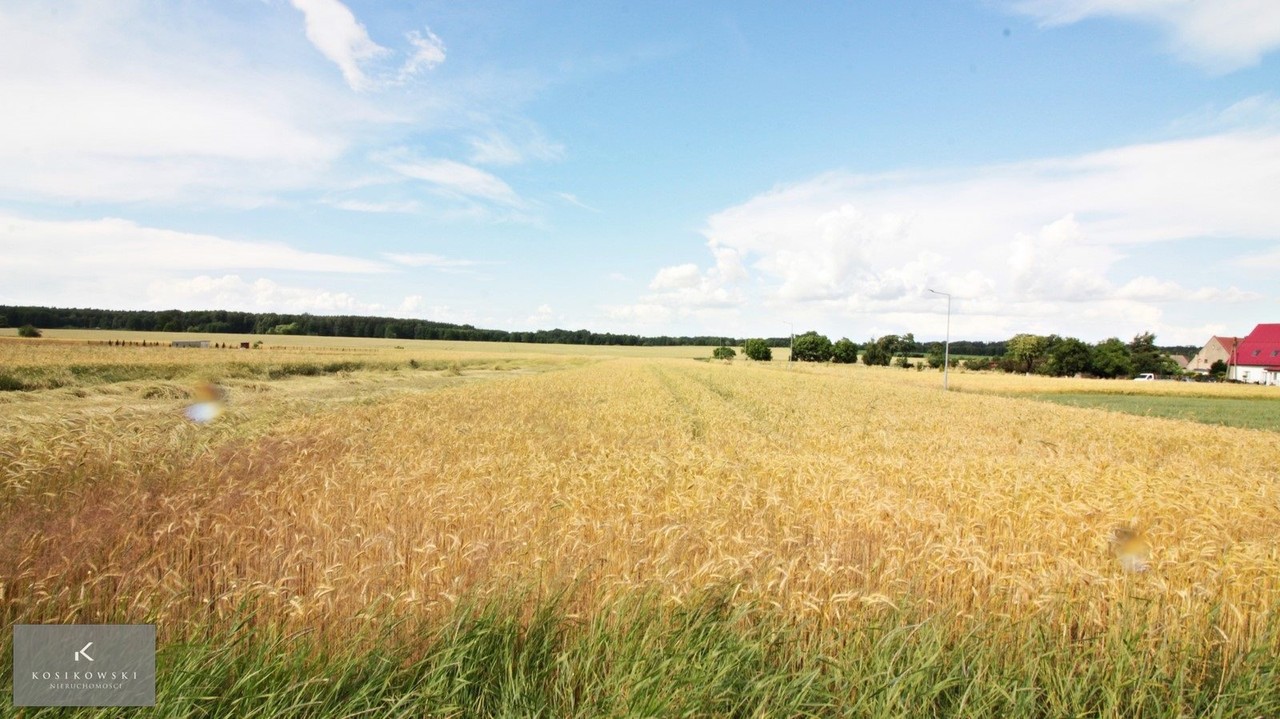 Działka mieszkaniowo-usługowa Ziemiełowi - View 2