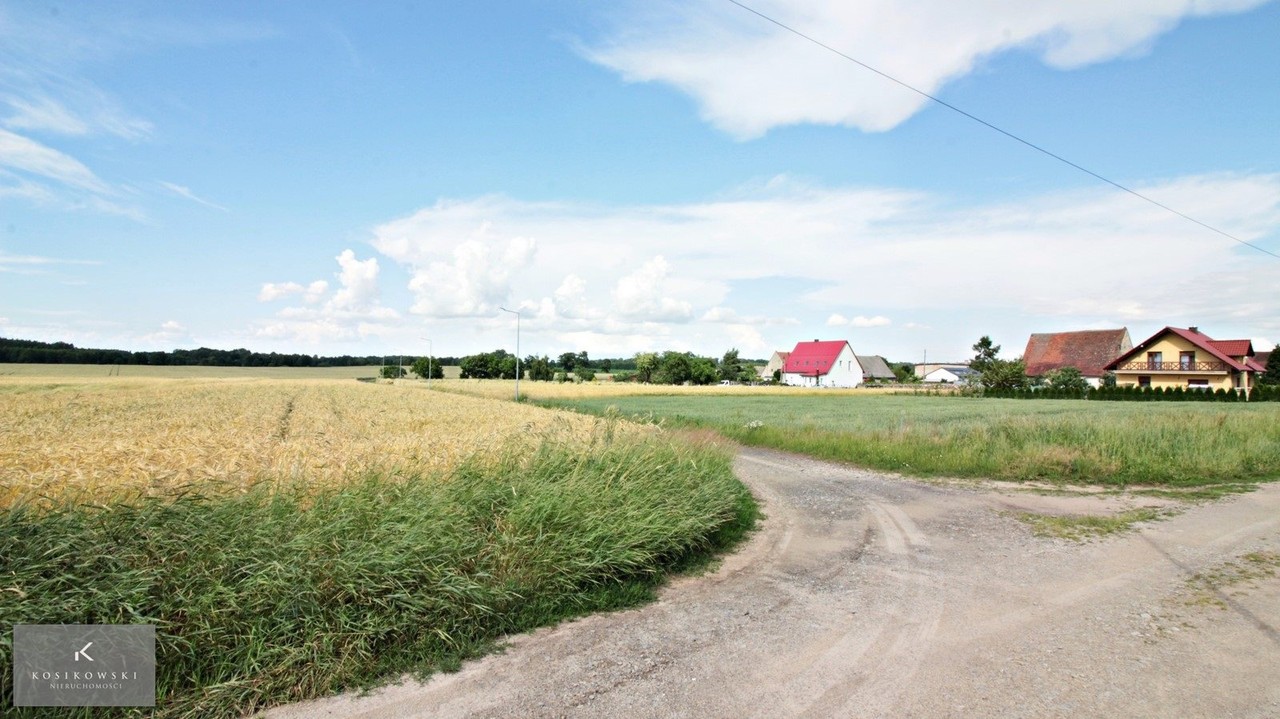 Działka mieszkaniowo-usługowa Ziemiełowi - View 3