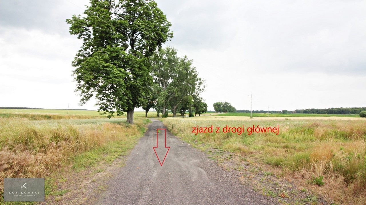 Działka mieszkaniowo-usługowa Ziemiełowi - View 4