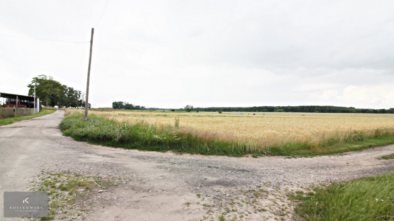 Działka mieszkaniowo-usługowa Ziemiełowi - View 5