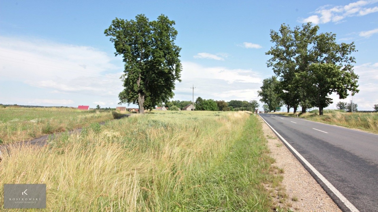 Działka mieszkaniowo-usługowa Ziemiełowi - View 6