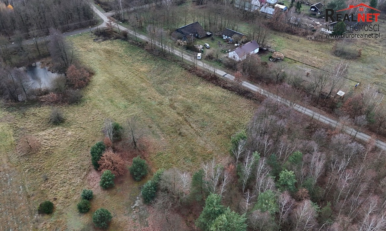 Działka budowlana 18a, Rzegocin gm. Nowy Korczyn - Widok 2