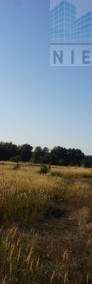 Kolonia Golina - działka rolna o pow. 4,8400 ha-4