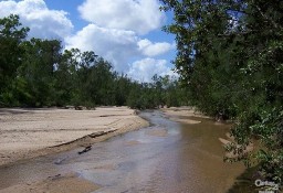 Działka inna Black River