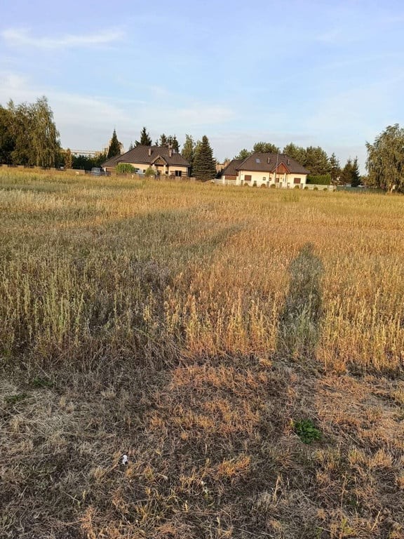 Jedna z ostatnich w tym rejonie - Widok 2