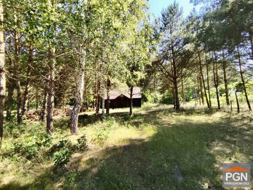 Domek w lesie 7 km od Pobierowa