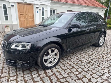 Audi A3 II (8P)-1