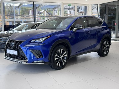 Lexus NX NX 14- 300h Hybrid 4x4, F Sport, Kamera, LED, Skóra, FV-23%, Gwarancja-1