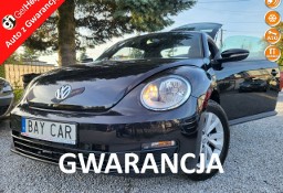 Volkswagen New Beetle