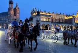 Lokal Kraków Stare Miasto