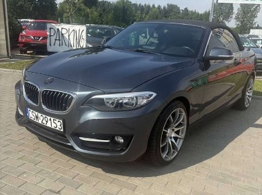 cabrio automat 2.0 benzyna 245 KM-1