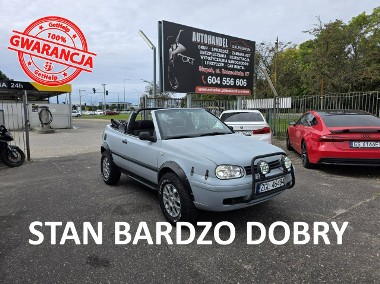 Volkswagen Golf IV Golf Cabrio 2.0 Benzyna 115 KM, OFF Road, El. Szyby i Lusterka, LIFT,-1