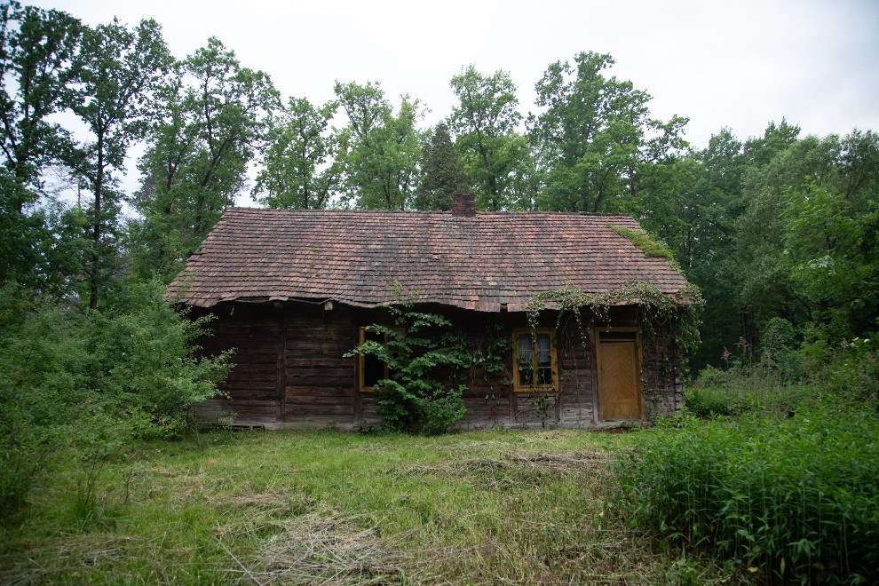 Dom drewniany w lesie, leśniczówka, działka budowlana w lesie 