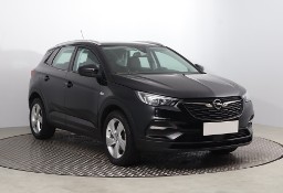 Opel Inny Opel , Salon Polska, 1. Właściciel, Skóra, Klima, Tempomat,