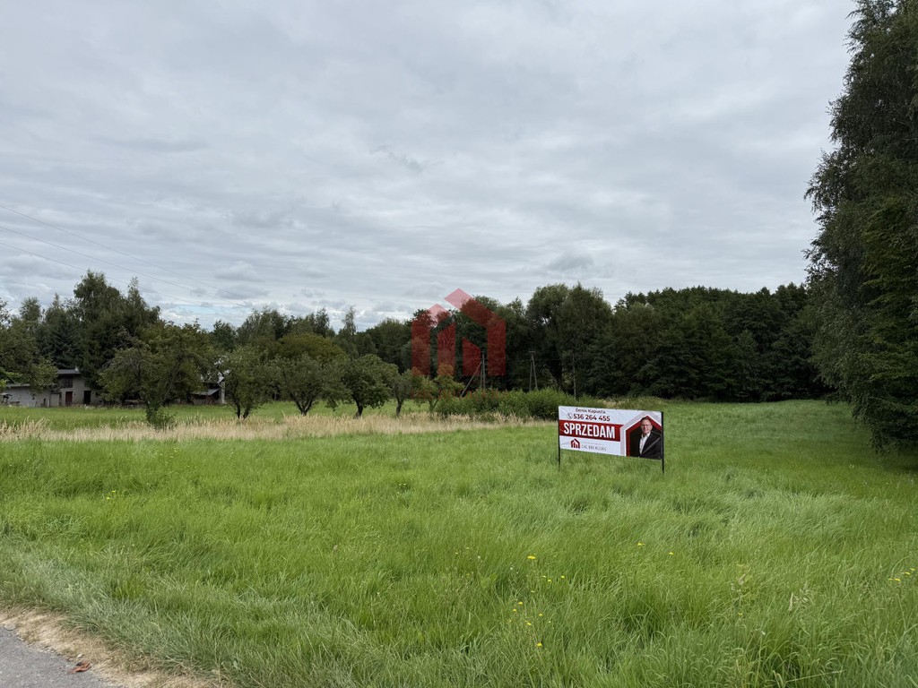 WOLICZKA 35 ar Działa budowlana z własnym lasem - Widok 2