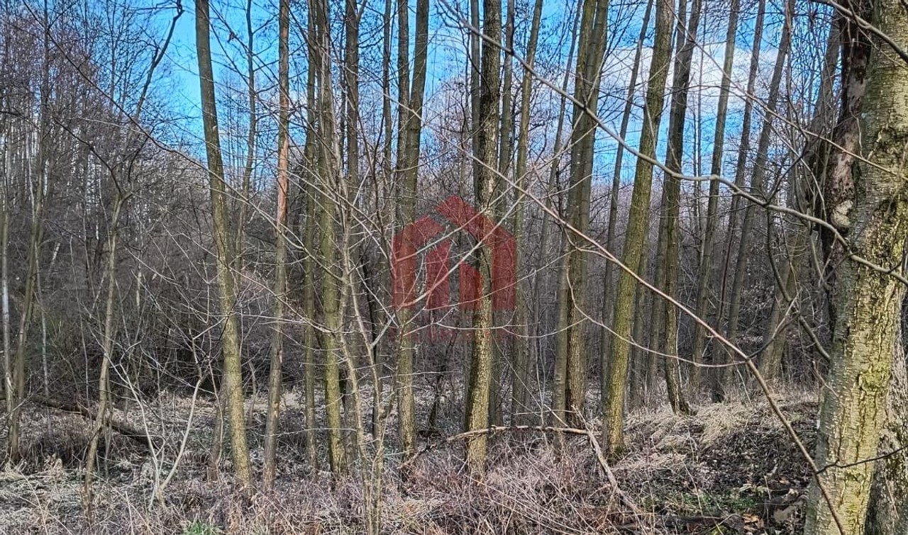 WOLICZKA 35 ar Działa budowlana z własnym lasem - Widok 5
