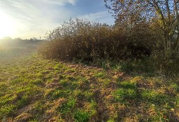 Działka rolna Bosutów