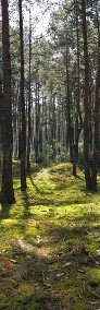 Działka leśna Huta Podgórna-4