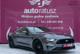 Ford Mustang VI * Oferta Prywatna * 2.3 Benzyna 317KM * Świetny Stan * 80 tyś KM