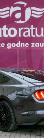 Ford Mustang VI * Oferta Prywatna * 2.3 Benzyna 317KM * Świetny Stan * 80 tyś KM-4