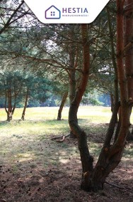 Duża działka przy lesie w Wielgowie-2