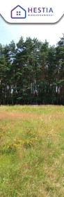 Duża działka przy lesie w Wielgowie-3
