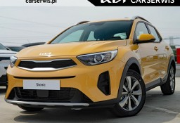 Kia Stonic 1.2 79 KM 5MT | Wersja M+SMT | Honey Bee | MY25