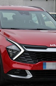 Kia Sportage IV-2