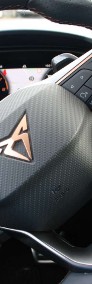 Cupra-3