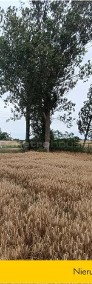 Działka rolna 1,31 ha Milżyn, siedlisko i staw!-4