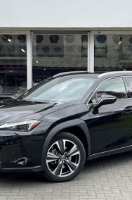 Lexus UX 300h Business 300h Business 2.0 199KM | System Martwego Pola-2
