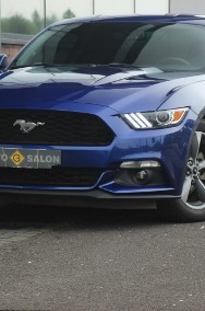 Ford Mustang VI 305KM*Automat*Xenon*Led*Kamera*Alu18*Komp*Temp*Klimatyzacja*Pdc !!!-2