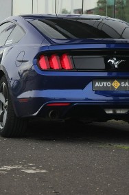 Ford Mustang VI 305KM*Automat*Xenon*Led*Kamera*Alu18*Komp*Temp*Klimatyzacja*Pdc !!!-2
