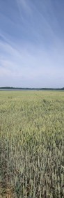 Działka rolna nad rzeką Sibin sprzedaż-3