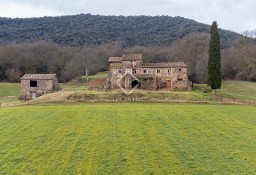 Dom Sant Joan Les Fonts