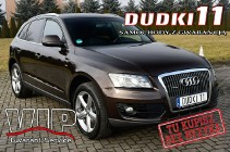 Audi Q5 I (8R) 2,0tdi S-line,Quattro,Navi,Pół-skóry,Elkt.Klapa.Klimatr 2 str.GWARAN